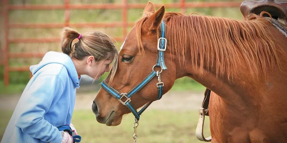 A young woman rests her forehead against a chestnut horse during an equine therapy session