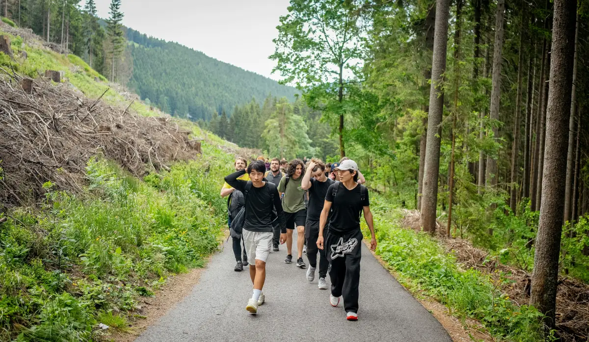 A group of residents walking together on a forest trail during a planned group hike